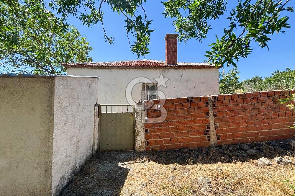 İzmir Bergama Seklik Köyünde 2,5 Dönüm Zeytinlik İçinde Satılık Müstakil Ev