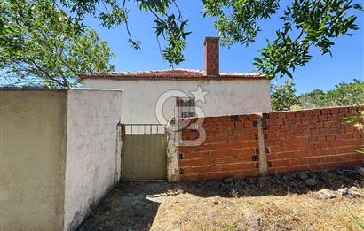 İzmir Bergama Seklik Köyünde 2,5 Dönüm Zeytinlik İçinde Satılık Müstakil Ev