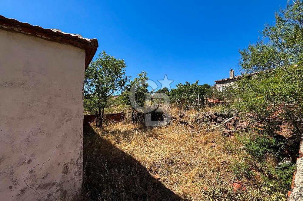İzmir Bergama Seklik Köyünde 2,5 Dönüm Zeytinlik İçinde Satılık Müstakil Ev