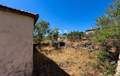 İzmir Bergama Seklik Köyünde 2,5 Dönüm Zeytinlik İçinde Satılık Müstakil Ev