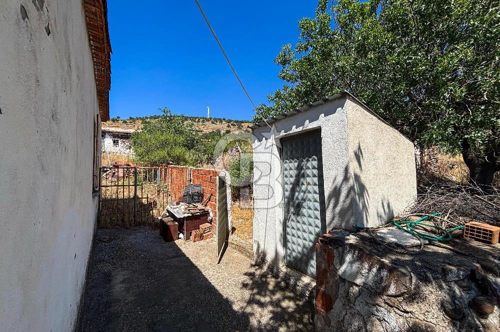 İzmir Bergama Seklik Köyünde 2,5 Dönüm Zeytinlik İçinde Satılık Müstakil Ev