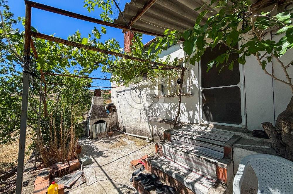 İzmir Bergama Seklik Köyünde 2,5 Dönüm Zeytinlik İçinde Satılık Müstakil Ev