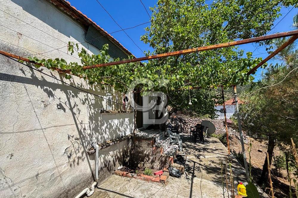 İzmir Bergama Seklik Köyünde 2,5 Dönüm Zeytinlik İçinde Satılık Müstakil Ev