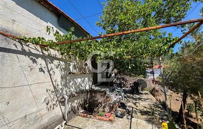 İzmir Bergama Seklik Köyünde 2,5 Dönüm Zeytinlik İçinde Satılık Müstakil Ev