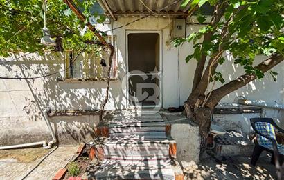 İzmir Bergama Seklik Köyünde 2,5 Dönüm Zeytinlik İçinde Satılık Müstakil Ev