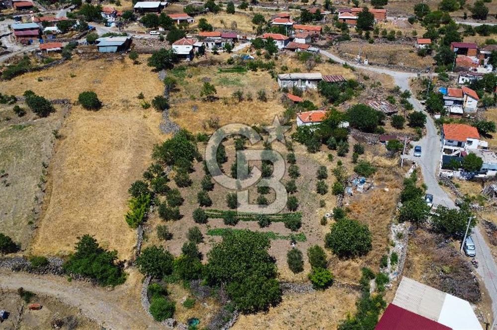 İzmir Bergama Seklik Köyünde 2,5 Dönüm Zeytinlik İçinde Satılık Müstakil Ev
