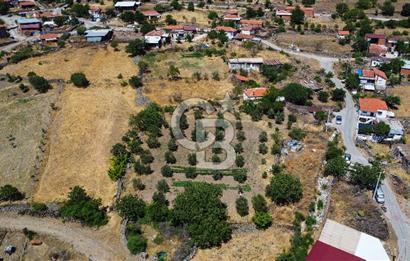 İzmir Bergama Seklik Köyünde 2,5 Dönüm Zeytinlik İçinde Satılık Müstakil Ev