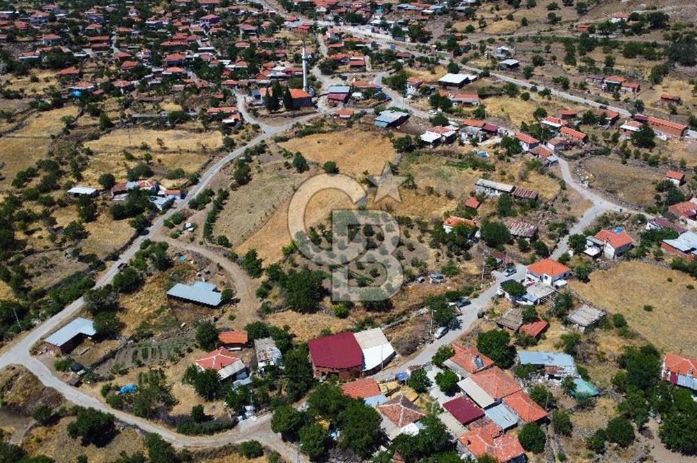 İzmir Bergama Seklik Köyünde 2,5 Dönüm Zeytinlik İçinde Satılık Müstakil Ev