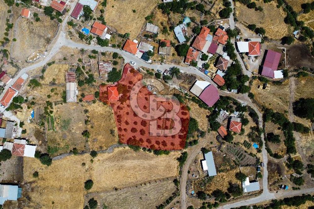 İzmir Bergama Seklik Köyünde 2,5 Dönüm Zeytinlik İçinde Satılık Müstakil Ev