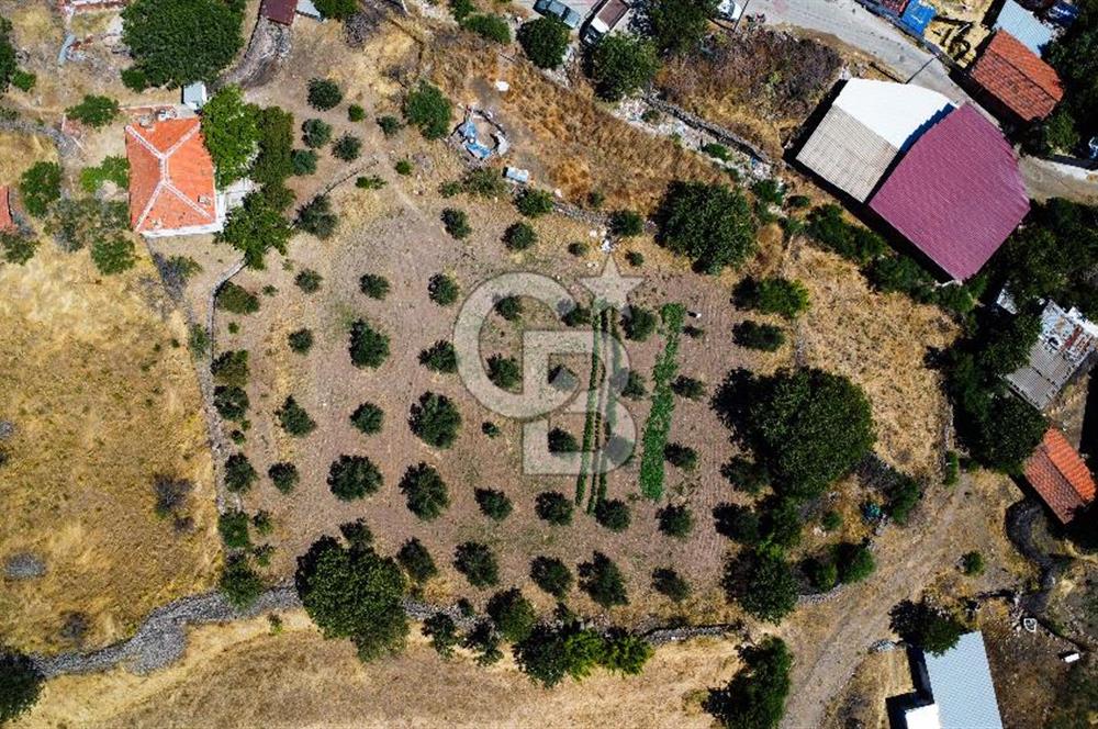 İzmir Bergama Seklik Köyünde 2,5 Dönüm Zeytinlik İçinde Satılık Müstakil Ev
