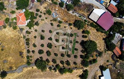İzmir Bergama Seklik Köyünde 2,5 Dönüm Zeytinlik İçinde Satılık Müstakil Ev
