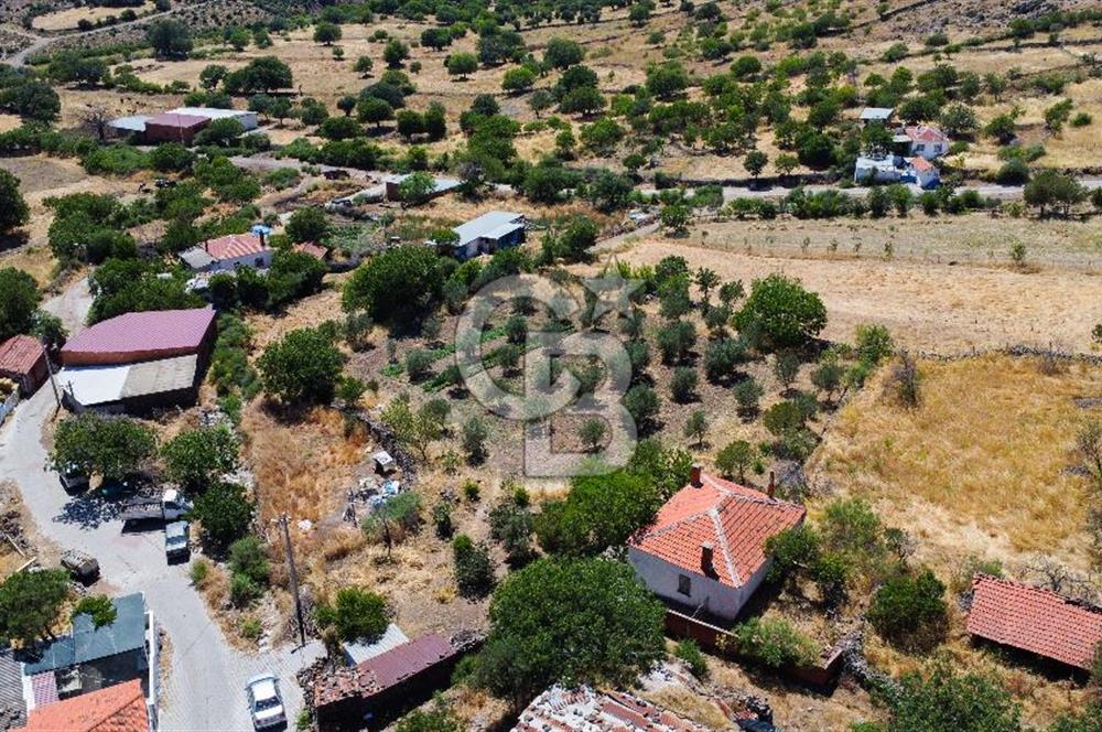 İzmir Bergama Seklik Köyünde 2,5 Dönüm Zeytinlik İçinde Satılık Müstakil Ev