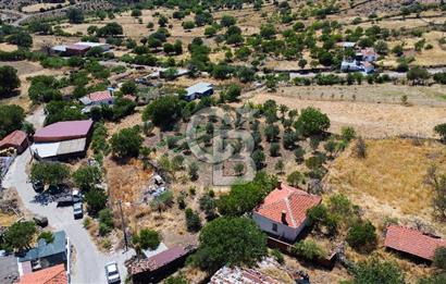 İzmir Bergama Seklik Köyünde 2,5 Dönüm Zeytinlik İçinde Satılık Müstakil Ev