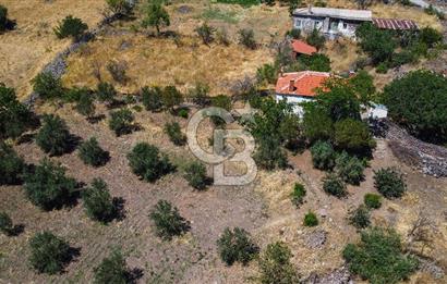 İzmir Bergama Seklik Köyünde 2,5 Dönüm Zeytinlik İçinde Satılık Müstakil Ev