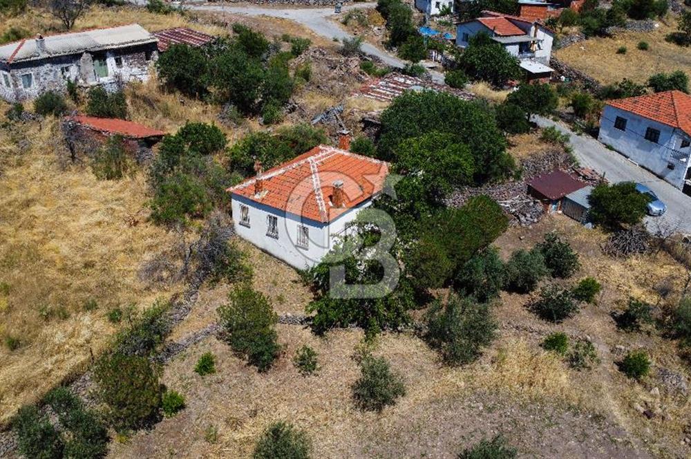 İzmir Bergama Seklik Köyünde 2,5 Dönüm Zeytinlik İçinde Satılık Müstakil Ev