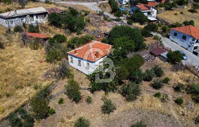 İzmir Bergama Seklik Köyünde 2,5 Dönüm Zeytinlik İçinde Satılık Müstakil Ev