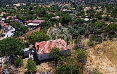 İzmir Bergama Seklik Köyünde 2,5 Dönüm Zeytinlik İçinde Satılık Müstakil Ev