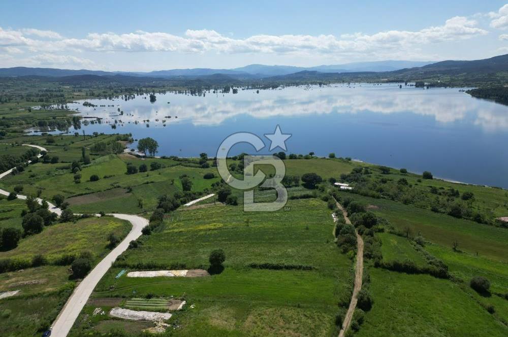 Çanakkale Yenice Haydaroba Köyünde Manzaralı Satılık Tarla!