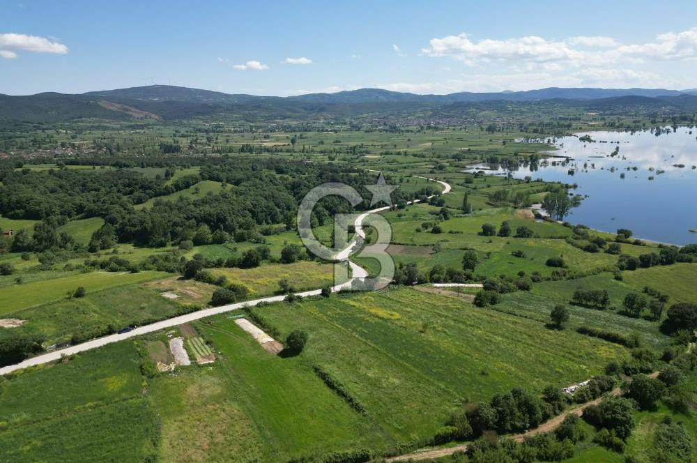Çanakkale Yenice Haydaroba Köyünde Manzaralı Satılık Tarla!