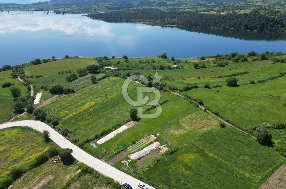 Çanakkale Yenice Haydaroba Köyünde Manzaralı Satılık Tarla!