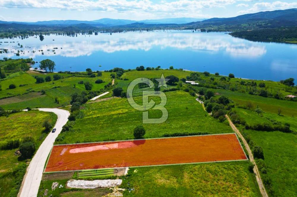 Çanakkale Yenice Haydaroba Köyünde Manzaralı Satılık Tarla!