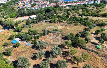 Datça İmar Sınırı'nda YATIRIMLIK Satılık 1651 m² Hisse