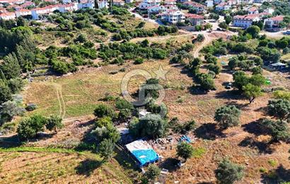 Datça İmar Sınırı'nda YATIRIMLIK Satılık 1651 m² Hisse