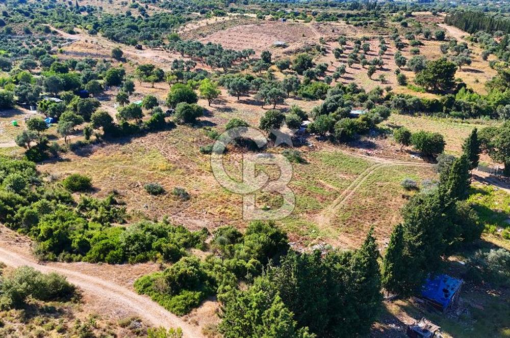 Datça İmar Sınırı'nda YATIRIMLIK Satılık 1651 m² Hisse