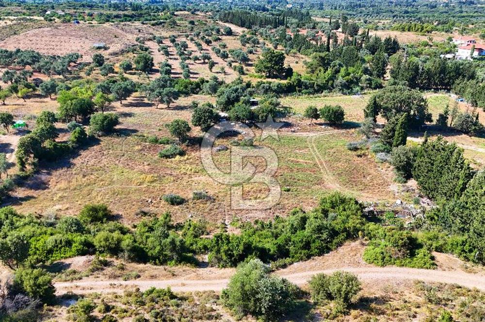 Datça İmar Sınırı'nda YATIRIMLIK Satılık 1651 m² Hisse