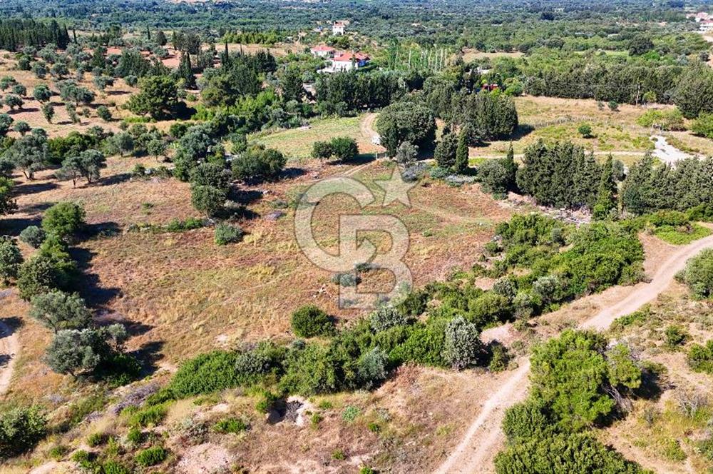 Datça İmar Sınırı'nda YATIRIMLIK Satılık 1651 m² Hisse