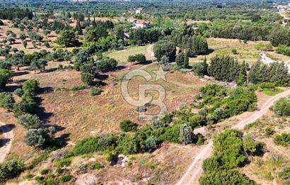 Datça İmar Sınırı'nda YATIRIMLIK Satılık 1651 m² Hisse