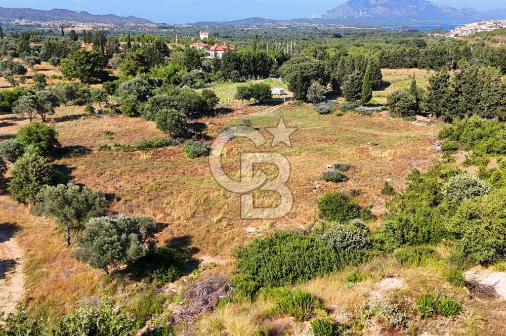 Datça İmar Sınırı'nda YATIRIMLIK Satılık 1651 m² Hisse