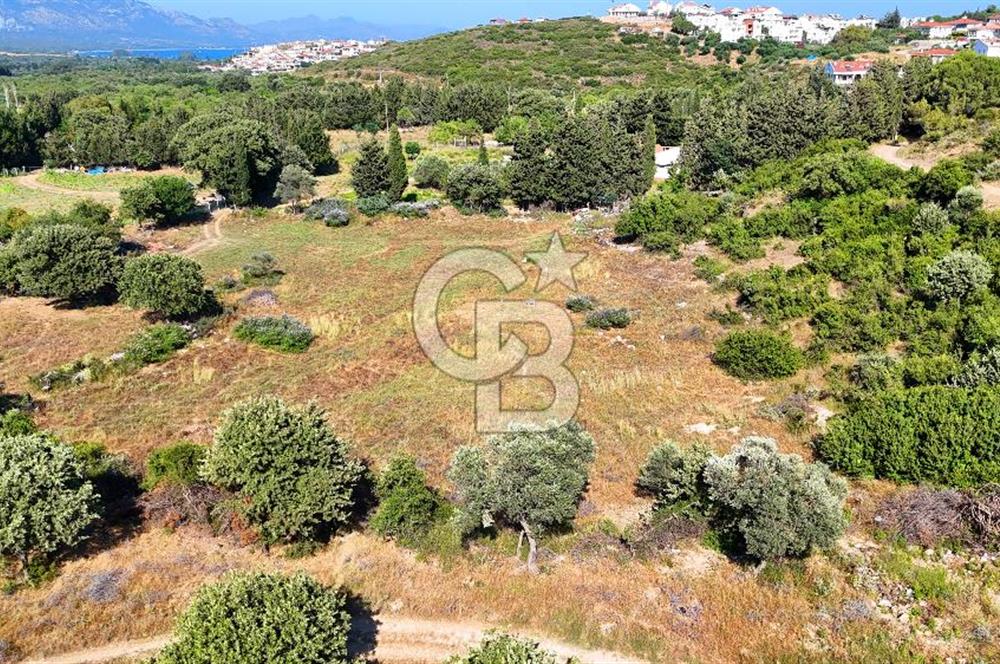 Datça İmar Sınırı'nda YATIRIMLIK Satılık 1651 m² Hisse