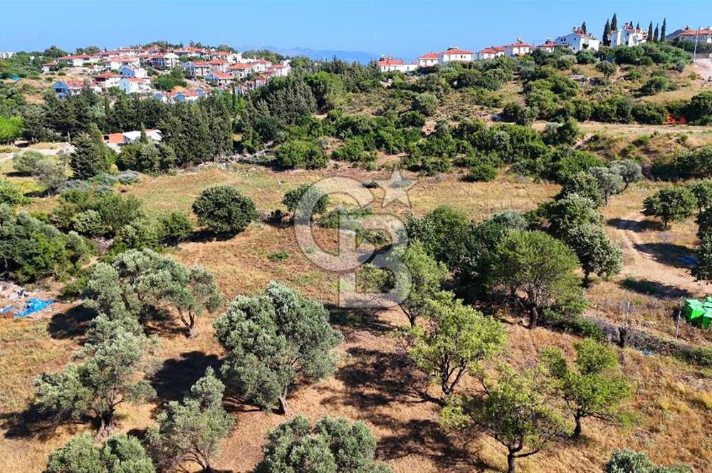Datça İmar Sınırı'nda YATIRIMLIK Satılık 1651 m² Hisse