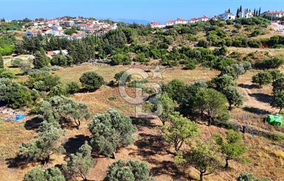 Datça İmar Sınırı'nda YATIRIMLIK Satılık 1651 m² Hisse