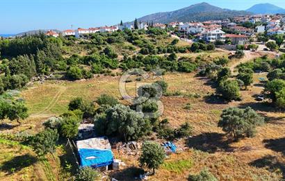 Datça İmar Sınırı'nda YATIRIMLIK Satılık 1651 m² Hisse