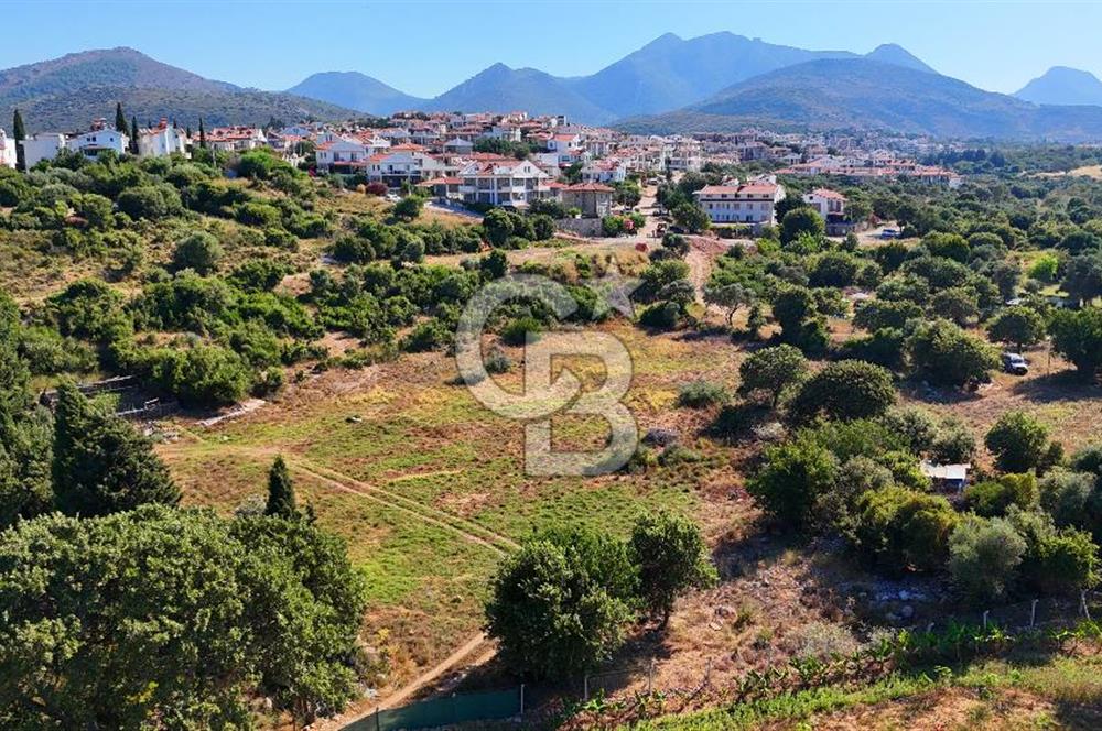 Datça İmar Sınırı'nda YATIRIMLIK Satılık 1651 m² Hisse