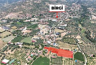 MUSELAND - Birgi'de Yapı İzinli & Altyapılı 5.665 m² Kupon Tarla - 1 - 357153