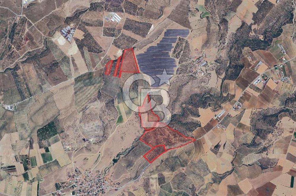 Satılık 283 Dönüm Zeytin Üretim Tesisi