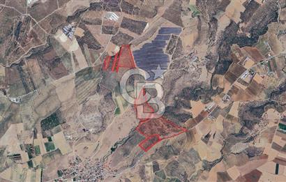 Satılık 283 Dönüm Zeytin Üretim Tesisi
