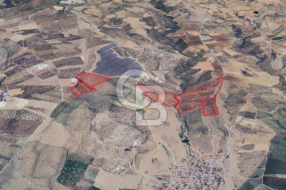 Satılık 283 Dönüm Zeytin Üretim Tesisi