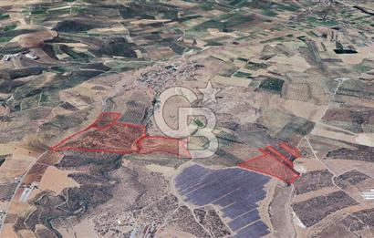 Satılık 283 Dönüm Zeytin Üretim Tesisi