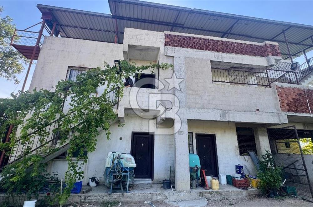 Satılık 283 Dönüm Zeytin Üretim Tesisi