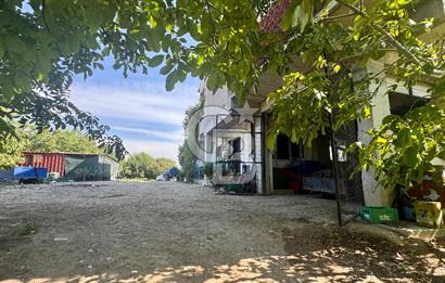 Satılık 283 Dönüm Zeytin Üretim Tesisi