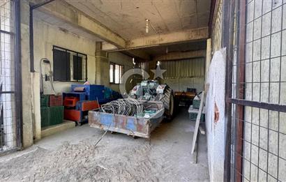 Satılık 283 Dönüm Zeytin Üretim Tesisi