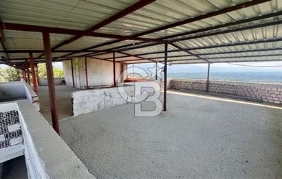 Satılık 283 Dönüm Zeytin Üretim Tesisi