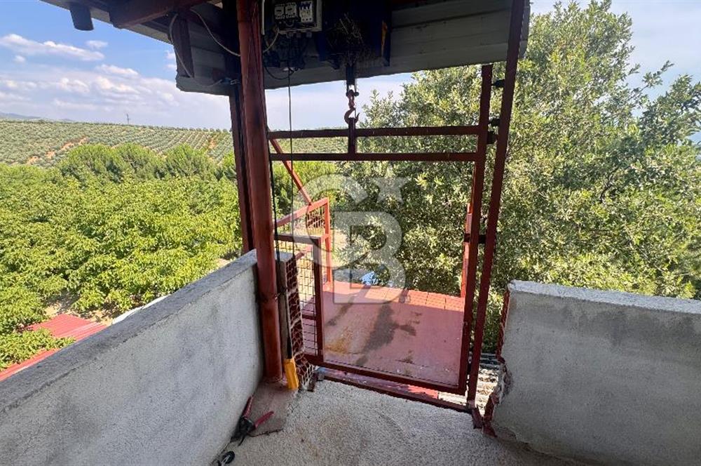 Satılık 283 Dönüm Zeytin Üretim Tesisi