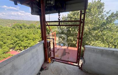 Satılık 283 Dönüm Zeytin Üretim Tesisi