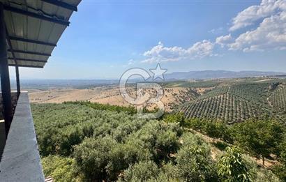 Satılık 283 Dönüm Zeytin Üretim Tesisi