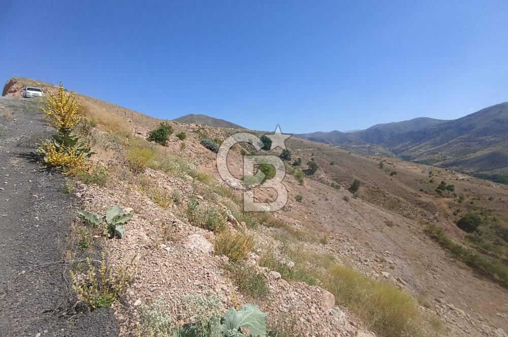 COLDWELL BANKER SAFİR'den MULLAKASIM da 6396m² VİLLA İMARLI ARSA